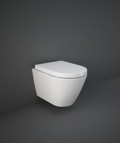 WALL HUNG TOILET WRAPAROUND SEAT IMAGE