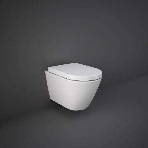 WALL HUNG TOILET WRAPAROUND SEAT IMAGE